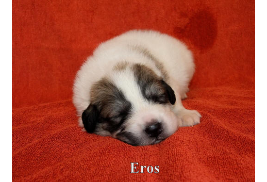 Eros a (3)